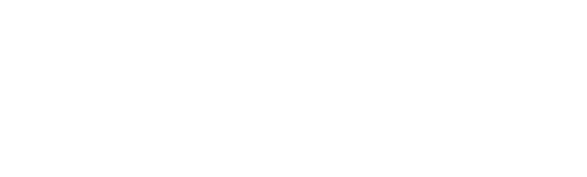 HSE_conseils_logo